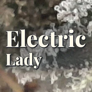 Electric Lady Cannabis Strain