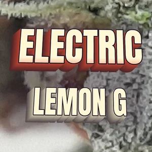 Electric Lemon G Cannabis Strain