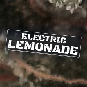 Electric Lemonade Cannabis Strain