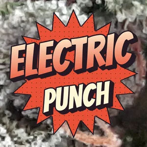 Electric Punch Cannabis Strain