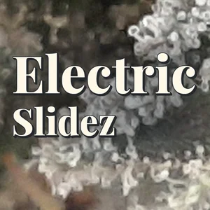 Electric Slidez Cannabis Strain