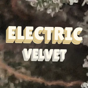 Electric Velvet Cannabis Strain