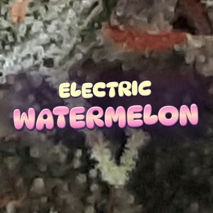 Electric Watermelon Cannabis Strain