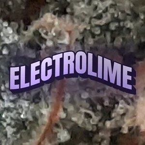 Electrolime Cannabis Strain