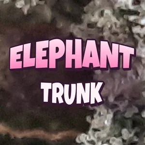 Elephant Trunk Cannabis Strain