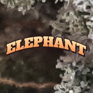 Elephant Cannabis Strain