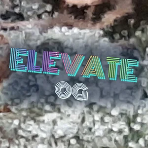 Elevate OG Cannabis Strain