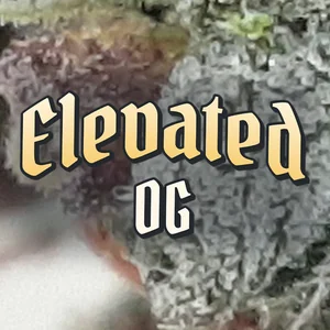Elevated OG Cannabis Strain