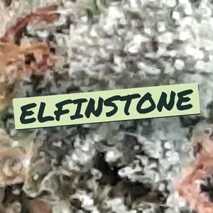 Elfinstone Cannabis Strain