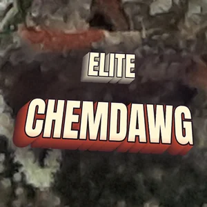 Elite Chemdawg Cannabis Strain