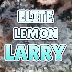 Elite Lemon Larry Cannabis Strain