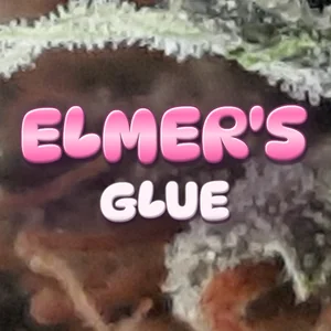 Elmer's Glue Cannabis Strain