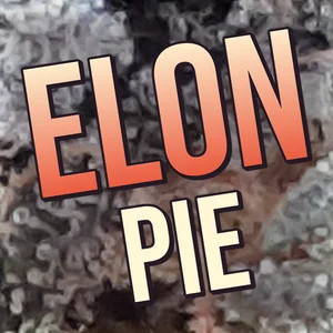 Elon Pie Cannabis Strain