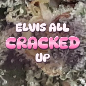 ELVIS ALL CRACKED UP Cannabis Strain