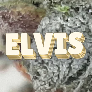 Elvis Cannabis Strain