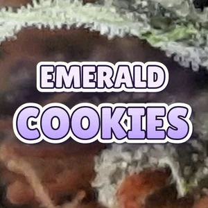 Emerald Cookies Cannabis Strain