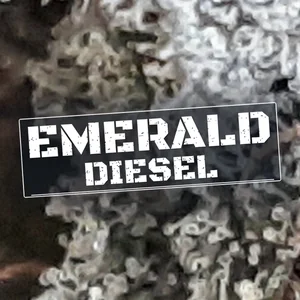 Emerald Diesel Cannabis Strain
