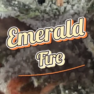 Emerald Fire Cannabis Strain
