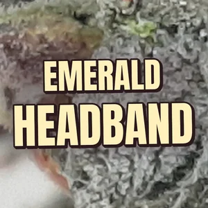 Emerald Headband Cannabis Strain