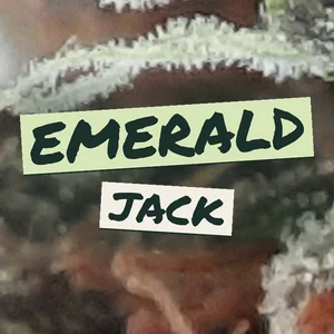 Emerald Jack Cannabis Strain