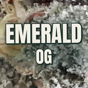 Emerald OG Cannabis Strain