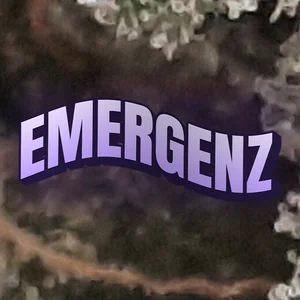 EmergenZ Cannabis Strain