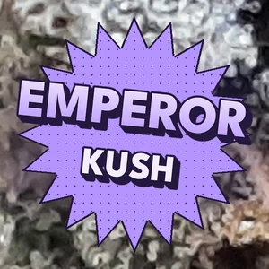 Emperor Kush Cannabis Strain