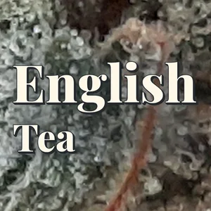 English Tea Cannabis Strain
