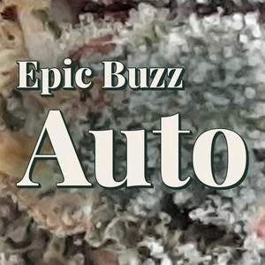 Epic Buzz Auto Cannabis Strain
