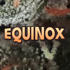 Equinox Cannabis Strain