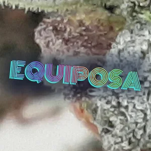 Equiposa Cannabis Strain