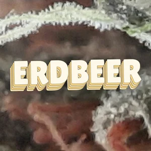 Erdbeer Cannabis Strain