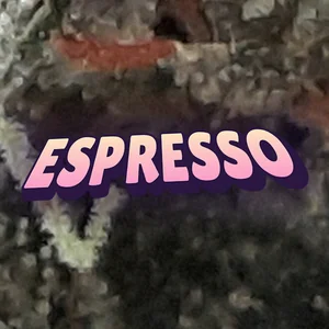 Espresso Cannabis Strain