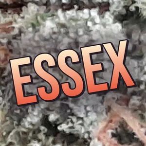 Essex Cannabis Strain