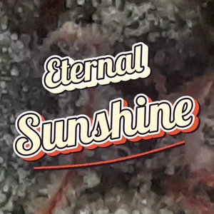 Eternal Sunshine Cannabis Strain
