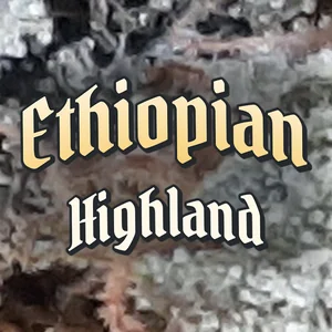 Ethiopian Highland Cannabis Strain
