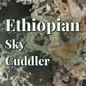 Ethiopian Sky Cuddler Cannabis Strain