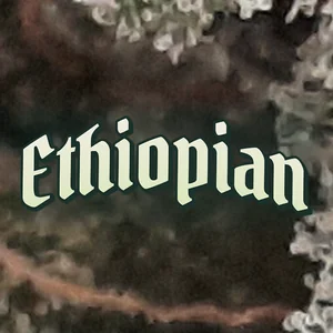 Ethiopian Cannabis Strain