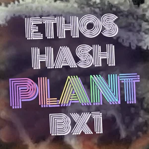 Ethos Hash Plant BX1 Cannabis Strain