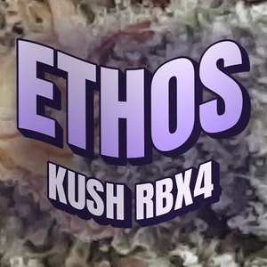 Ethos Kush RBx4 Cannabis Strain