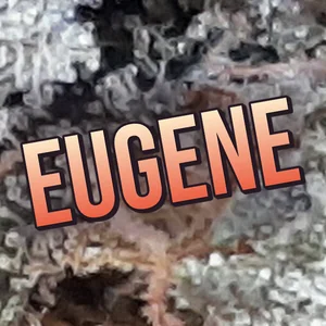 Eugene Cannabis Strain