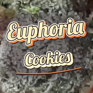 Euphoria Cookies Cannabis Strain