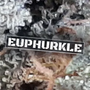 Euphurkle Cannabis Strain