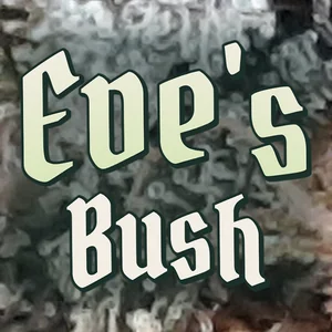 Eve's Bush Cannabis Strain