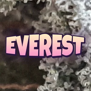 Everest Cannabis Strain