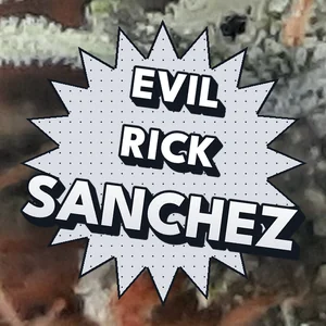 Evil Rick Sanchez Cannabis Strain