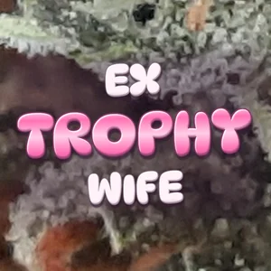 Ex Trophy Wife Cannabis Strain