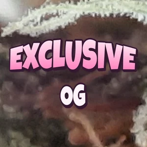Exclusive OG Cannabis Strain