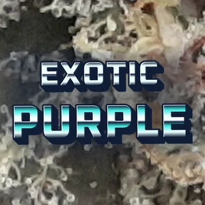 Exotic Purple Cannabis Strain