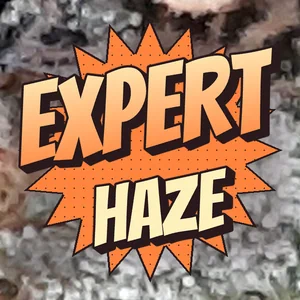 Expert Haze Cannabis Strain